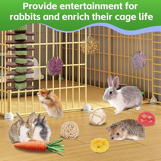 WDEFUN 21-Piece Natural Small Pet Chew Toys Set for Rabbits, Hamsters & Organic Grass Mat, Hay Sticks, Loofah Slices, Wooden Chews & More for Dental Health & Boredom Relief