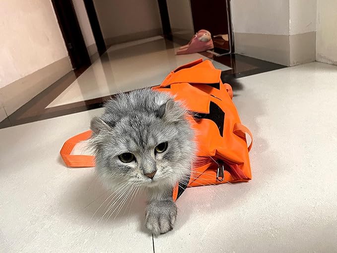 HDKUW Cat Grooming Bag,Foldable Travel Carrier for Cats,Anti-Bite Anti-Scratch Cat Grooming Restraint Bag,Pet Carrier for Administering Eye Drops,Ear Cleaner,Clipping Nails Orange L