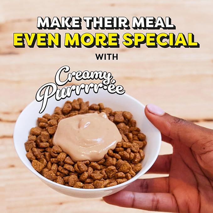 Temptations Creamy Puree Squeezable Lickable Wet Cat Treats with Chicken, 0.42 oz. Tubes, 4 Count, Pack of 11 (44 Total)