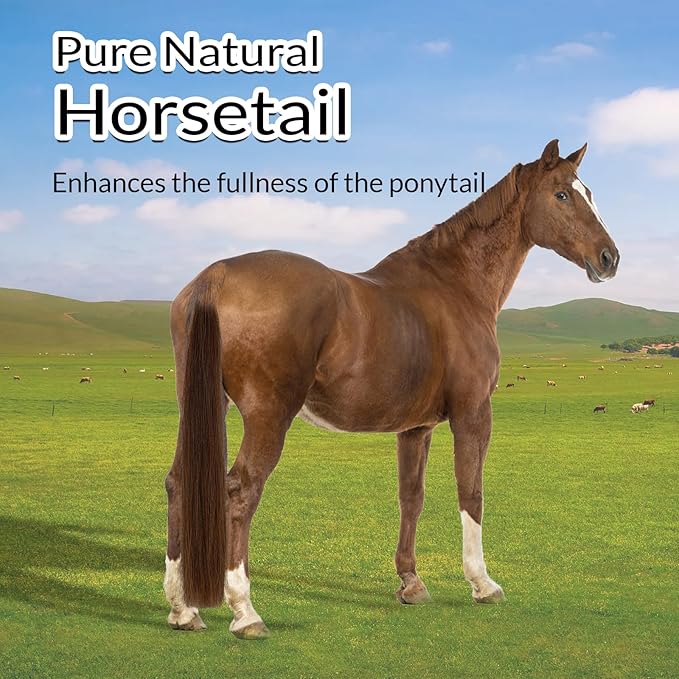 Horse Tail Extension with Braided Horsehair Loop, Blunt Cut Bottom, 3/8 lb, 28-30 inches (drak Chestnut)