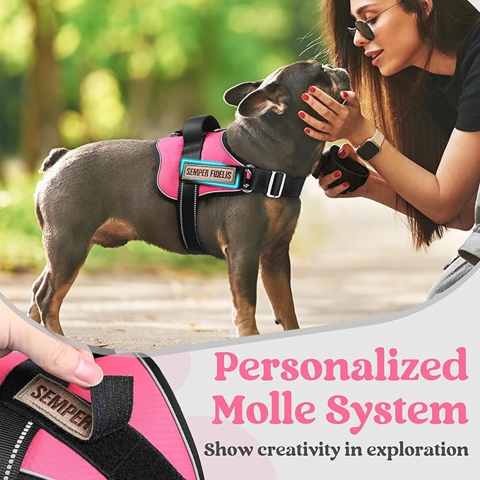 rabbitgoo Dog Harness for Large, Easy On Pet Vest with One Buckle, No Pull Adjustable Service Harness with D-Ring & Handle, Reflective for Safety Walking, Training, Pink, L