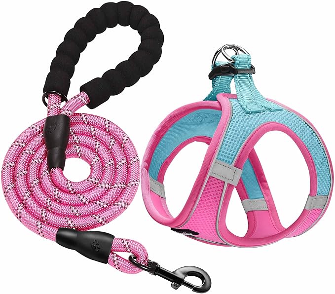 haapaw Dog Harness with Leash Set, No Pull Adjustable Reflective Step-in Puppy Harness with Thickened Padded Vest for Extra-Small/Small Medium Dogs