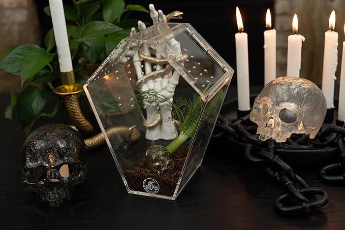 Coffin Shaped Jumping Spider Enclosure 9.5”x7.5”x5” Tarantula Enclosure Reptile Terrarium w/Sliding Magnetic Door. Great Reptile Tank Acrylic Aquarium Spider Box for Terrestrial or Arboreal Animal.