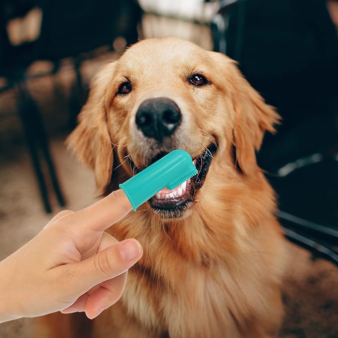 H&H Pets Dog Finger Toothbrushes - Professional Pet Finger Dental Brush Set for Dogs Puppies Cats, Soft Bristles, Size Small 4 Count-Silicon