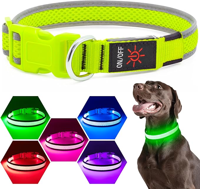 Flashseen LED Dog Collar, Light Up Dog Collar Lights USB Rechargeable, Adjustable Comfortable Soft Mesh Safety Collar for Small, Medium, Large Dogs(Large, Neon Green)