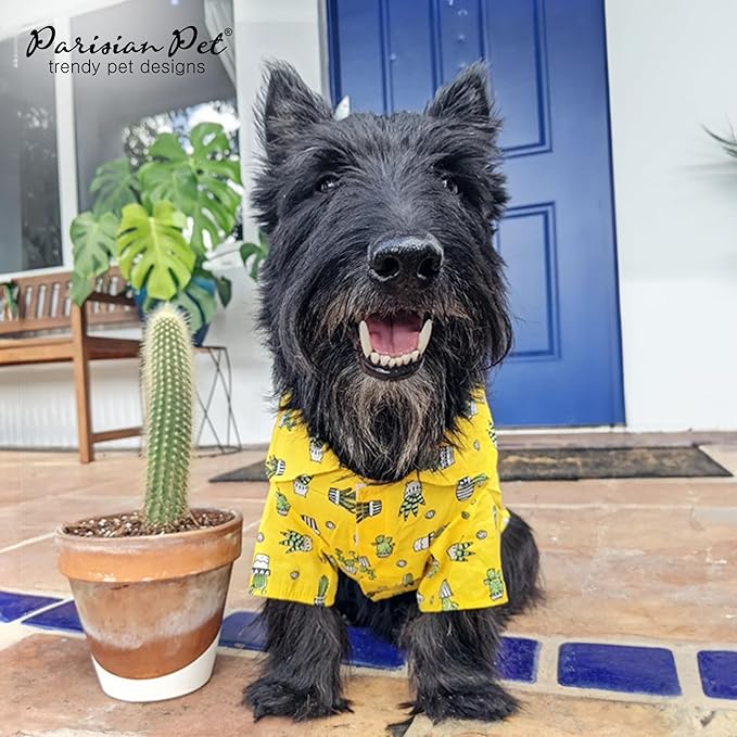 Parisian Pet Dog Shirt - Cactus Cap Dog Beach Outfit - 100% Cotton Dog Summer Clothes - Stylish Dog Costume - Breathable and Cool Pet Clothing - Machine Washable Dog Shirts for Small Dogs - XS