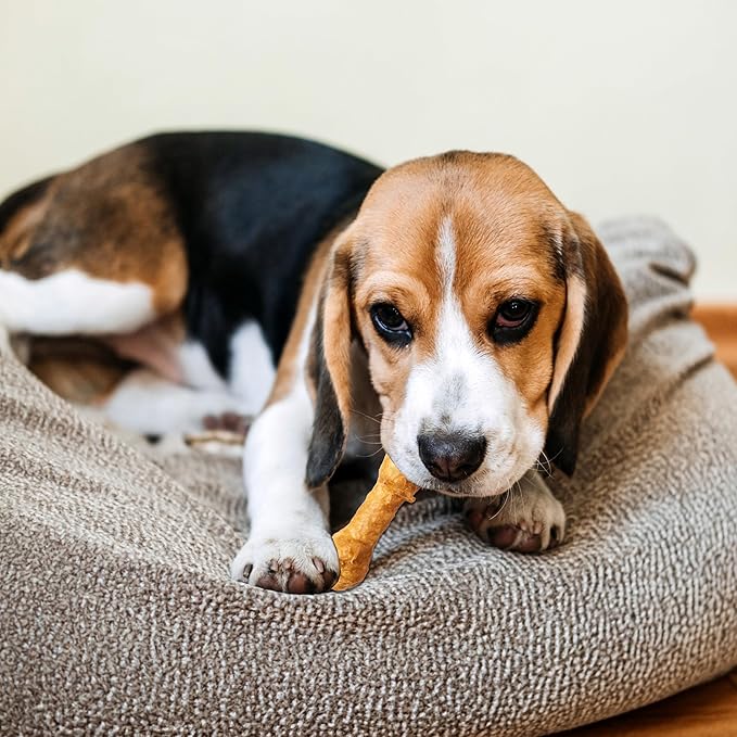 Fieldcrest Farms Nothin' to Hide 3 inch Ultra Knotted Bone Treats - Natural Rawhide Alternative Treats for Dogs, Collagen Based Snack for Heavy Chewers up to 15lbs - Chicken Flavor, 12 Pack