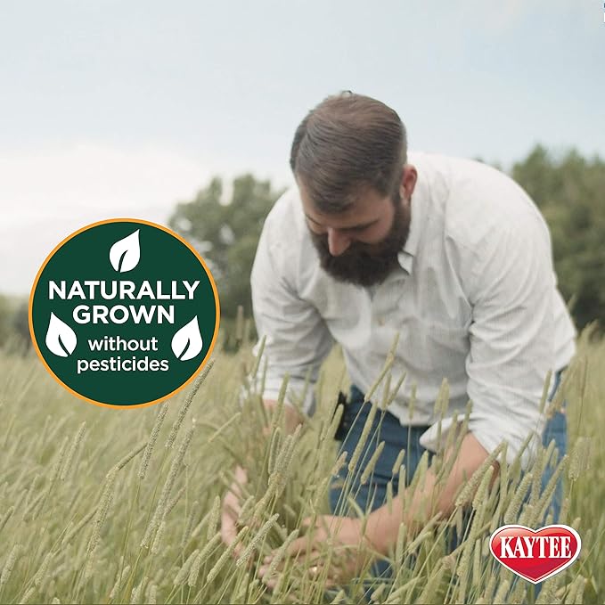 Kaytee Timothy Hay Plus Carrots for Pet Guinea Pigs, Rabbits & Other Small Animals, 24 oz (Pack of 2)