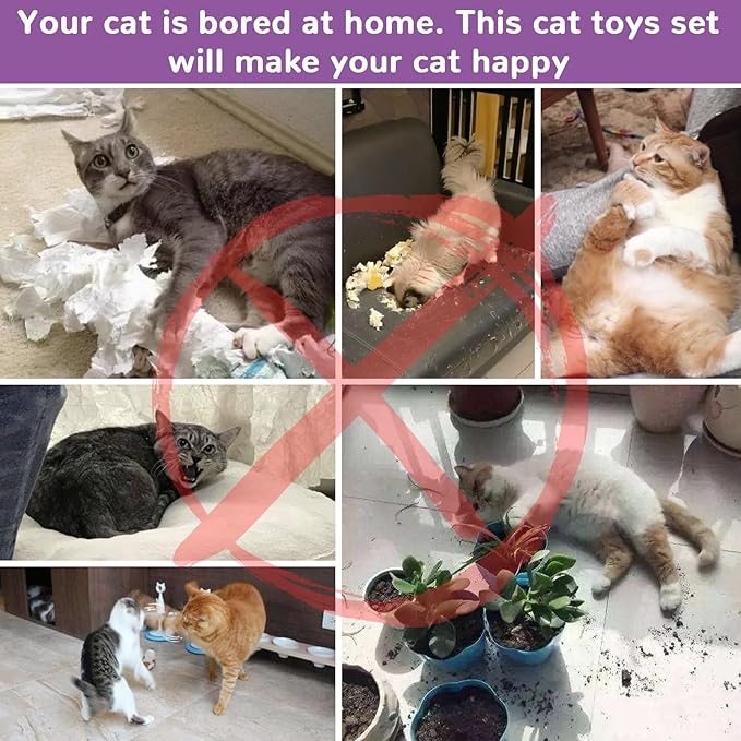 Retro Shaw Cat Toys Kitten Toys, Interactive Cat Tunnels Toy for Indoor Cats Kitty, Kitten Tube Tent Feather Wand Teaser Bell Fuzzy Ball Springs Mouse (33 Pcs Large Cat Tunnel Toys Set)