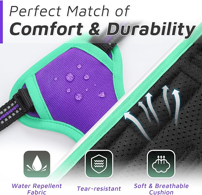 Eagloo Dog Harness Small Sized Dog, No Pull Service Vest with Reflective Strips and Control Handle, Adjustable and Comfortable for Walking, No Choke Pet Harness with 2 Metal Rings, Purple & Green, S