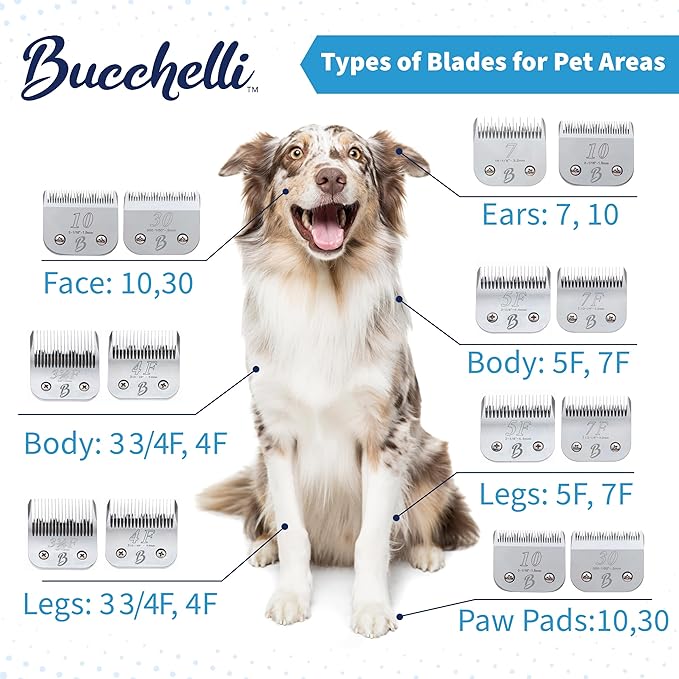 Detachable A Series 40 Blade Dog Grooming Clipper Blades Cuts Length 1/100" 0.25mm Japanese High Carbon Steel Dog Grooming Clipper Replacement Blade | Compatible A5 Series(B40)