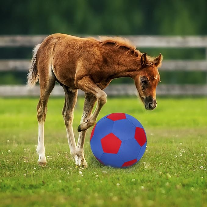 Herding Ball for Dogs Horse Ball & Cover 25" for Horses Large with Hand Pump for Play, Blue and Red