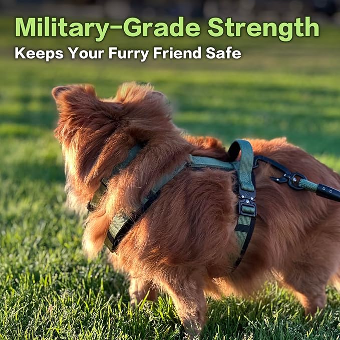 CLEPAWS Dog Harness for X-Large Dogs, No Pull Dog Harness Easy Walk with Metal Hardware, Ergonomic Y-Shaped Design, Soft Padding, Padded Handle, Durable High-Tensile Nylon (Evergreen, XL)