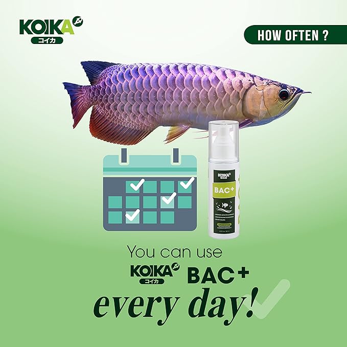 KOIKA BAC+ Aquarium Probiotics, Immunity Boosting, Disease Resistance & Improve The Digestive System (BAC+,120ml)