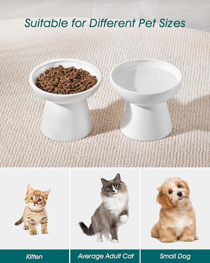 vancasso Ceramic Elevated Cat Bowls 2-Pack - 6.2" Extra Wide Raised Cat Food & Water Dishes, 5.1" Optimal Height Anti-Whisker Fatigue Shallow Bowls for Cats/Kittens/Dogs, Lead & Cadmium Free (White)