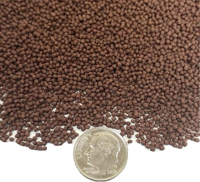 Aquatic Foods Inc. Blackworm Micro .8mm Floating Pellets with Color Enhancers & Vitamins for Discus, Guppies, Tetras, Live Bearers, Baby Cichlids, Baby Koi, All Tropical and Pond Fish...8oz Jar