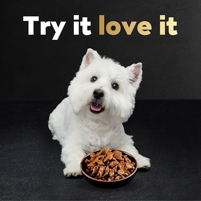 Cesar Filets in Gravy Wet Dog Food Filet Mignon Flavor, Rotisserie Chicken Flavor, and Wood-Grilled Chicken Flavor Variety Pack, 1.76 oz. Mini-Pouches (40 Count, Pack of 1)