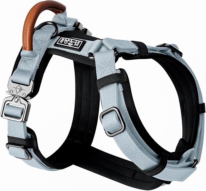 MADE TO ROAM Premium Explorer Harness - Y-Shaped Dog Harness with Adjustable Durable Nylon, Soft Padding, Metal Buckles and Leather Handle for Small, Medium, Large Dogs (Alaska Daybreak, Size 1)