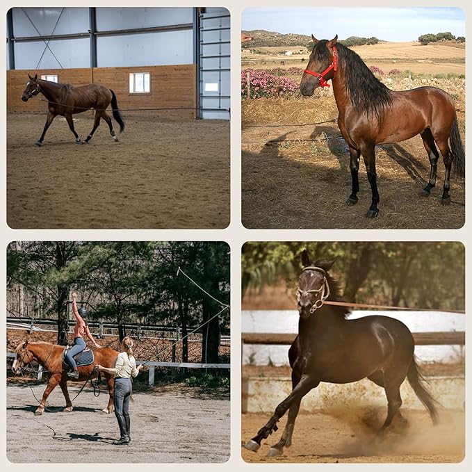 Lunge Line Polyester Cotton Lunge Line 25 Ft with EVA Stop Equine Lunge Line for Horses with Swivel Bolt Snap