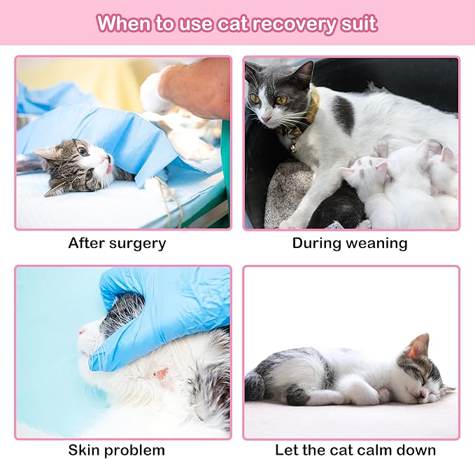 PUMYPOREITY Cat Recovery Suit for Female Surgery, Spay Alternative to Cone of Shame, Surgical Suit for Skin Diseases and Abdominal Wound, Purple, L