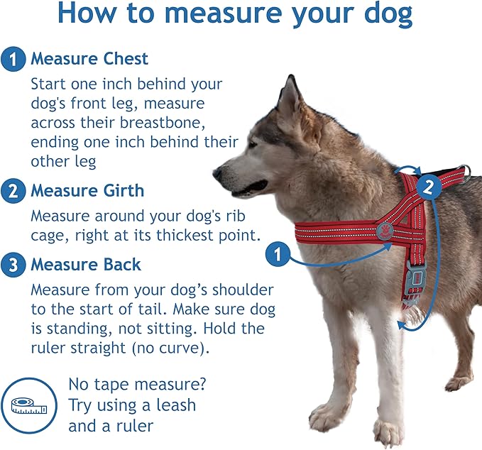 DOCO No-Pull Dog Harness Halter Reflective Easy-Control Harness for Training, Walking, and Preventing Pulling, Ideal for Medium Dogs(Turquoise)