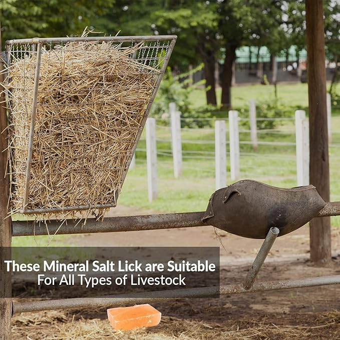 Licking Salt for Horse, 100% Pure Himalayan Pink Salt Chunks, 6 LBS, Animal Feed Salt Chunks, Horse Salt Licks, Natural Mineral Salt - Pack of 2