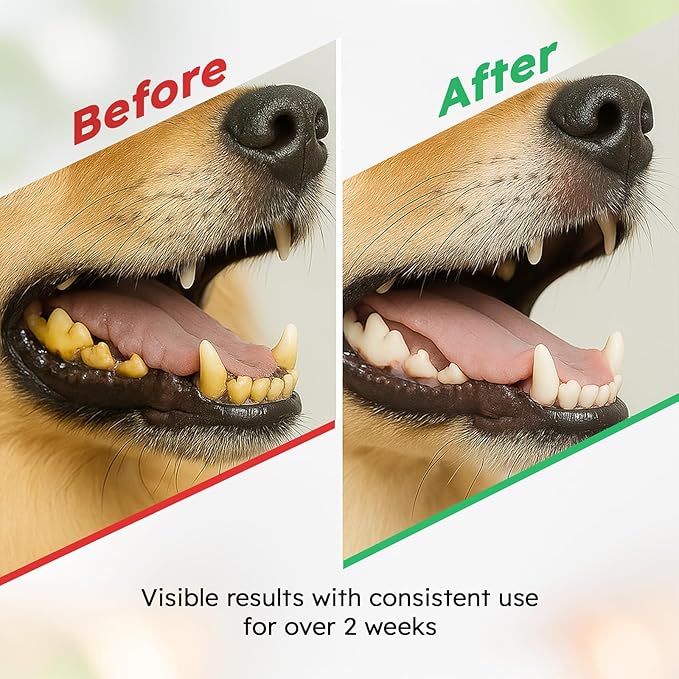 Dog Teeth Cleaning Powder - Dog Breath Freshener + Dental Care for Doggies & Cats + Tartar Remover for Teeth with Natural Ingredients + Probiotics Blend (Mint - 100g)