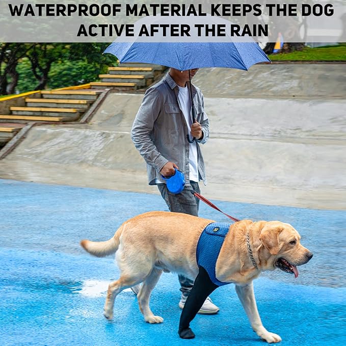 COODEO Dog Socks to Prevent Licking Paws, Healing Boots & Paw Protectors with Non-Slip Bottoms for Wound Protection, Waterproof Sleeve Shoes for Licking（Blue，L_Right