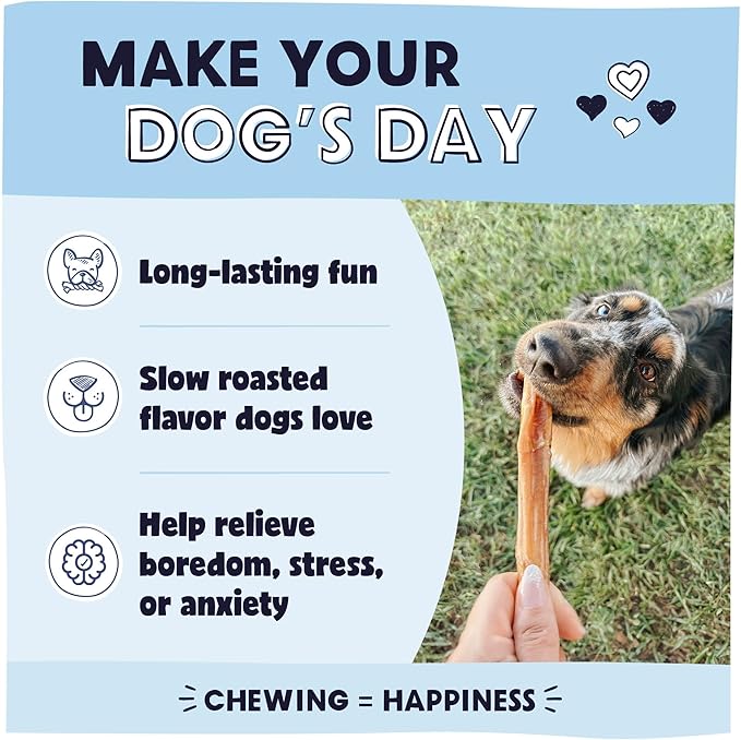 Pawstruck All-Natural 7" Bully Sticks for Dogs - Long Lasting, Rawhide-Free, Low Odor & Grain-Free Dental Chew Treat - Healthy Single Ingredient, 100% Real Beef - 1 lb Bag