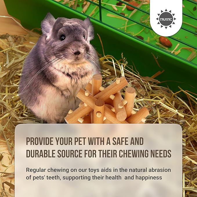 Wooden Chewing Toy for Small Animals, Natural Wood for Rabbit, Guinea Pig, Bunny, Chinchilla (Colorless)