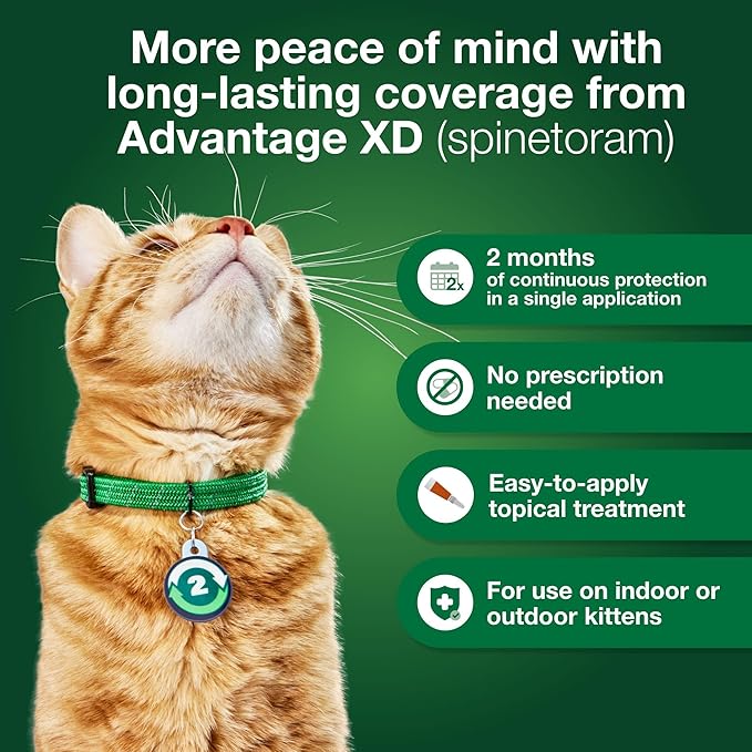 Advantage XD Large Cat Flea Prevention & Treatment For Cats over 9lbs. | 2-Topical Doses, 2-Months of Protection Per Dose