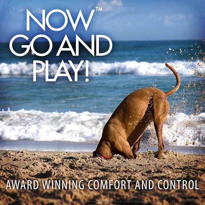 Ezydog Drive Dog Car Harness – Crash Tested and Certified (US-FMVSS 213) Dog Seat Belt Harness for Safe Travel, Adjustable with Padded Comfort (Medium)