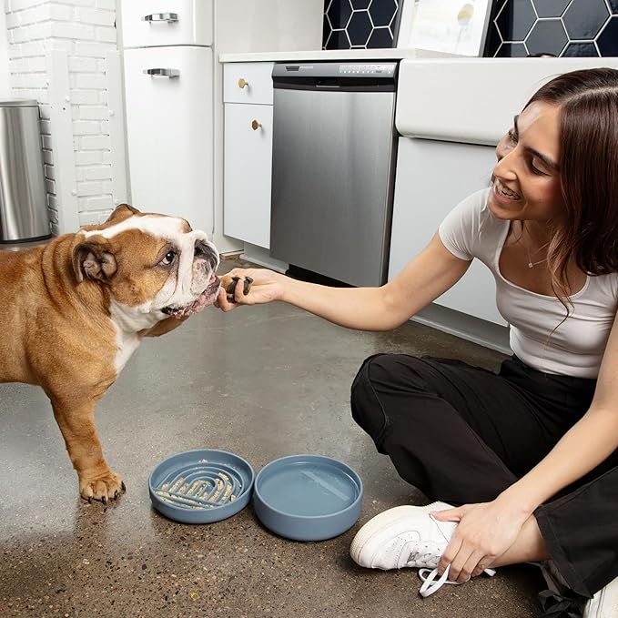 The Slowdown Bowl Silicone Slow Feeder for Dogs & Puppies, Slow Eating, Modern Lick Mat Design, Reduces Gulping, Fits 2 Cups 7.5” Across x 1.5” Tall, Mealtime Challenge, Medium-Charcoal