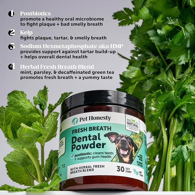 Dog Breath Freshener Dental Powder for Teeth Cleaning Plaque Off, Dental Care for Dogs, Tartar Remover for Teeth with Natural Herbal Blend + Postbiotics (Mint - 30 Servings)
