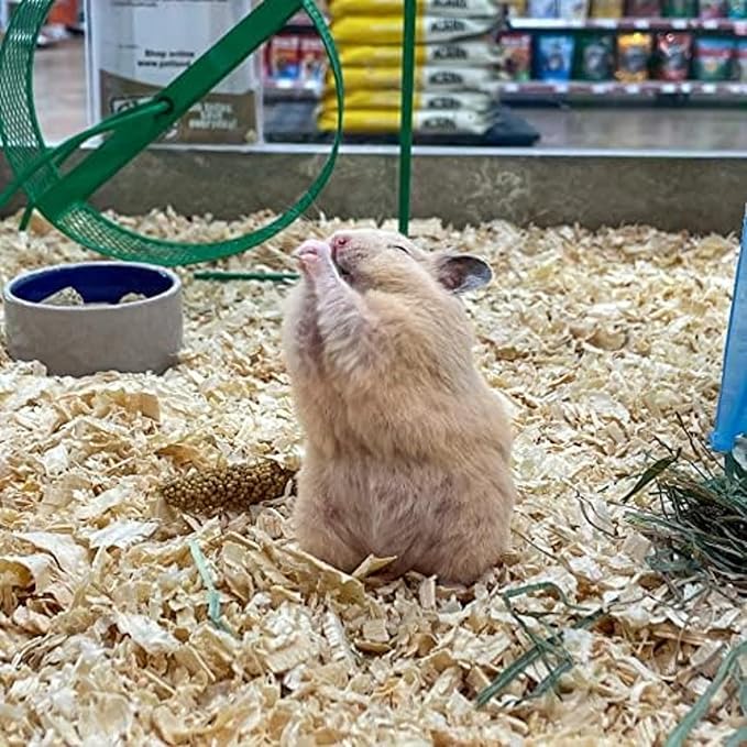 Blue Mountain Hay | Fresh Organic Meadow Hay (15 Ounce) | Mimics Natural Forage | High-Altitude Hay Pet Food for Rabbits, Guinea Pigs, Chinchillas, Hamsters, and Other Small Pets