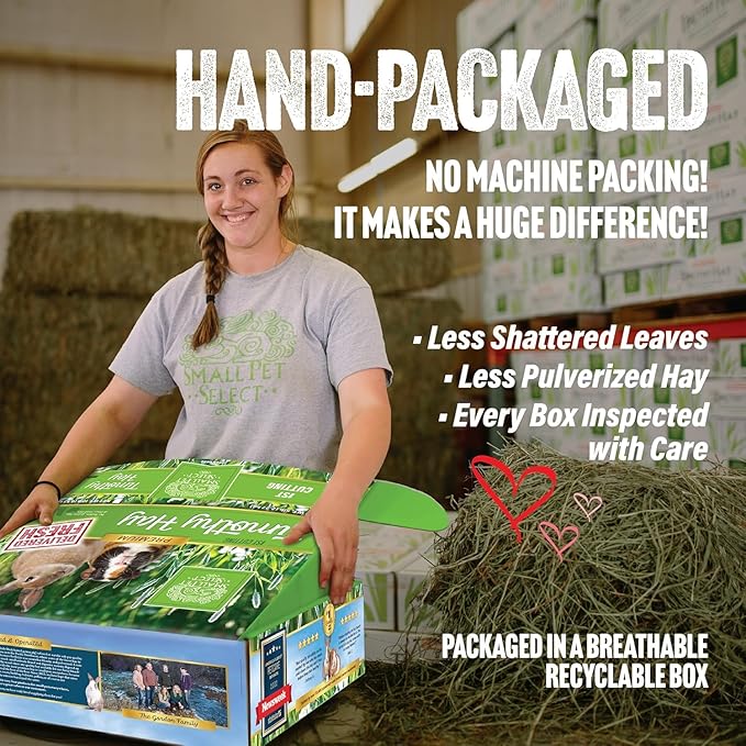 Small Pet Select 1st Cutting Timothy Hay, Animal Food for Guinea Pig, Rabbit, Hamster, Bunny, or Chinchilla, Natural Hay Grown in the USA, 5lb