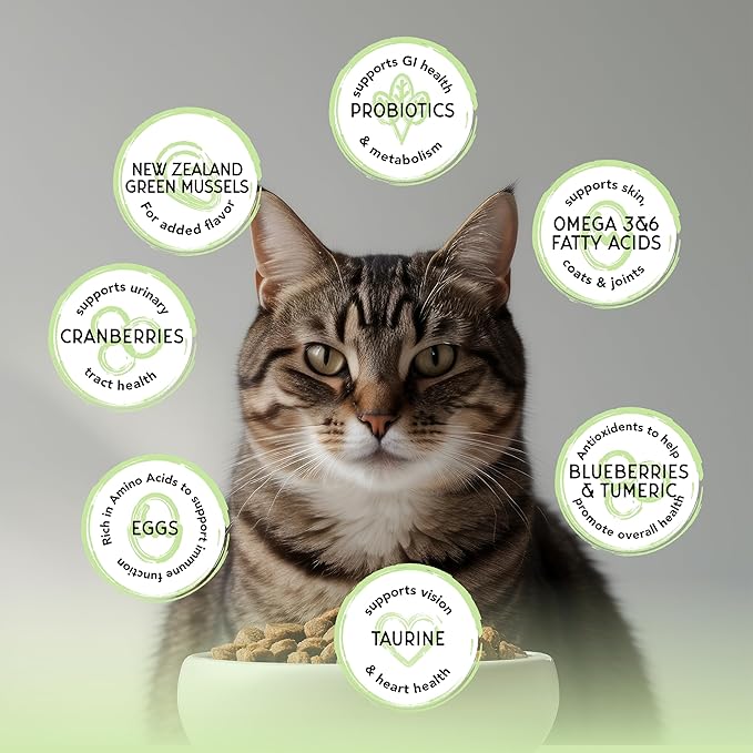 Blackwood Bounty Dry Cat Food, Whitefish & Lentil Recipe for All Life Stages, 4.5 Pound Bag, High Protein, Grain Free