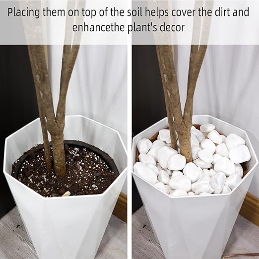 18LB 1"-2" White River Rocks for Plants, Polished Pebbles for Garden Landscaping, Planters, Aquariums, Vase Fillers – Indoor & Outdoor Decor