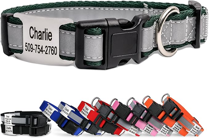 GoTags Reflective Personalized Dog Collar with Nameplate, Adjustable Dog Collar with Custom Engraved Steel Slide On Pet ID Tag, Silent, No Noise Dog Tag for Large Medium or Small (Hunter Green, Small)
