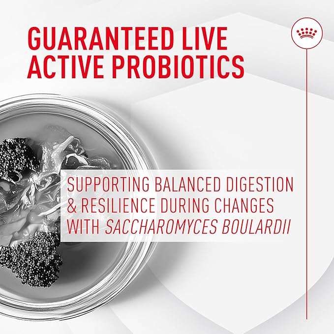 Royal Canin Probiotics for Dogs Digestive and Immune Health Powder Supplement for Dogs of All Ages, 7 Count