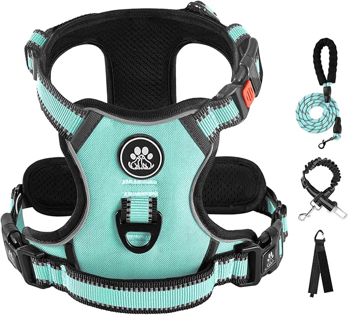 IVY&LANE No Pull Dog Harness with Leash Set, Reflective No Choke Pet Vest,Adjustable Oxford Dog Vest Harness with Easy Control Handle for Medium Dogs (Turquoise,M)