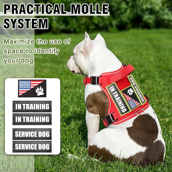 WINSEE Service Dog in Training Harness with 5 PCS Patches, Reflective Tactical Dog Vest Harness, Adjustable Soft Oxford Pet Harness with Easy Control Handle, Hook & Loop Panels for Walking Hiking