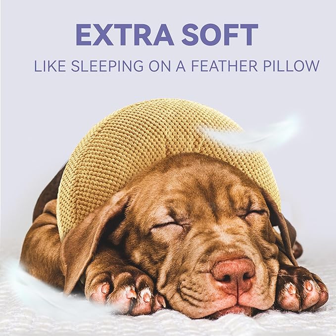 Inflatable Dog Cone Collar - Dog Neck Donut Cone Collar Alternative After Surgery - Soft Cone for Large Medium Small Dogs Cats - Alternative Recovery E Collar (Yello, M)