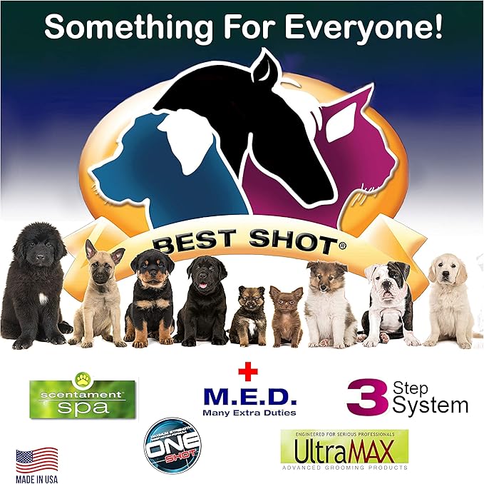 Best Shot Scentament Spa Seasonal Facial & Body Wash, Hot Toddy, 1 Gallon