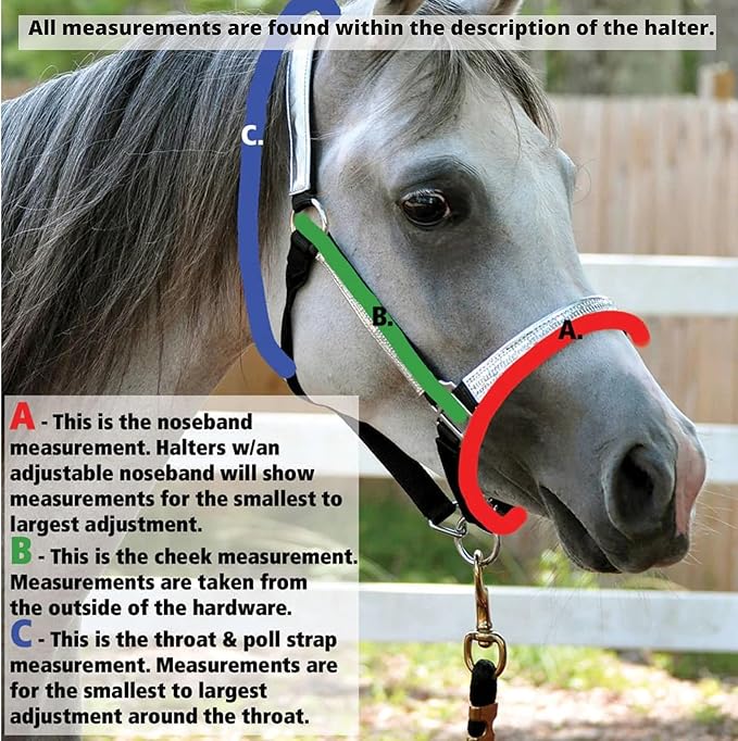 Jeffers Equine Mini Horse Halter – 3/4" Nylon Adjustable Halter for Miniature Horses, Ponies, Under 300 lbs – Heavy Duty Hardware, Secure Fit for Training, Turnout, Grooming, Travel – Royal Blue
