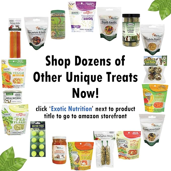 Pasture Plus+ Dandelion Delicacy - Healthy Natural High-Fiber Dried Flower Treat - Squirrels, Guinea Pigs, Rabbits, Chinchillas, Prairie Dogs, Degus, Hamsters, Gerbils & Other Small Pets