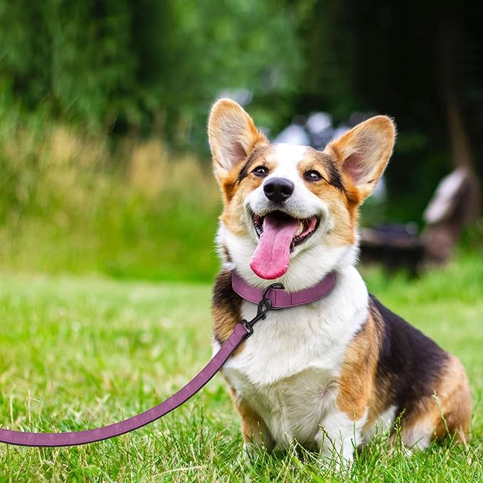 Didog Soft Padded Leather Dog Collar and Leash Set, Heavy Duty Dog Leash and Collar Set with Metal Buckle, Breathable Dog Collars with 4FT Leather Dog Leash for Small Medium Large Dogs, Purple, L