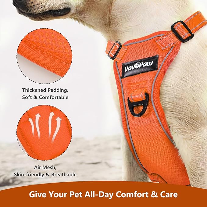 Dog Seat Belt Harness for Car, Dog Car Harness Adjustable Mesh Breathable & Dogs Seatbelt Safety Tether with Elastic Bungee for Small Medium Large Pets(Orange, L)