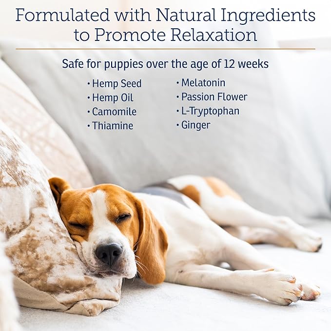 Rx Vitamins NutriCalm - Calming Care for Dogs with Valerian Root, Tryptophan, & Ashwagandha - Aids in Separation Anxiety Relief for Dogs and Stress Relief - Road Trip Essentials & Relaxant - 50ct