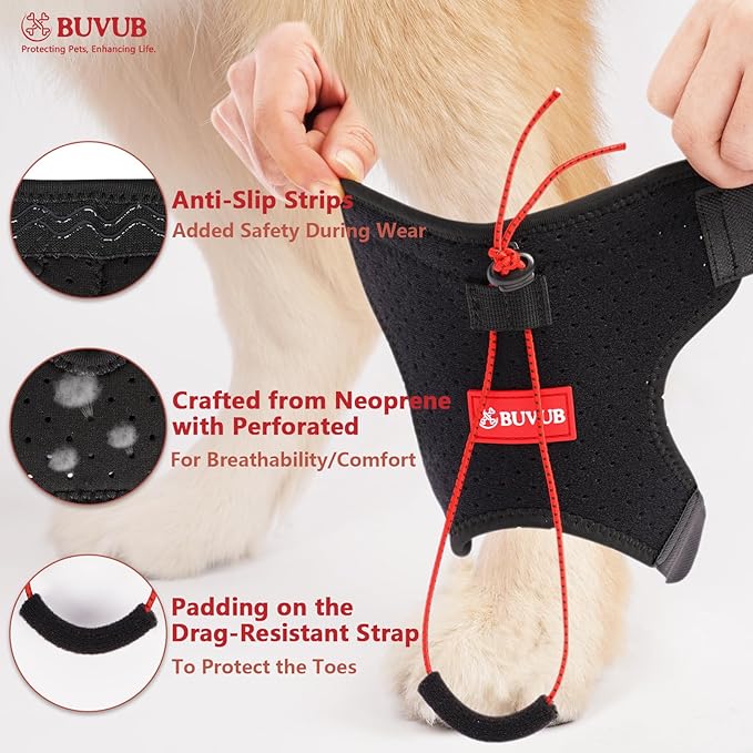 Dog Canine Knuckling Brace Rear Leg Dog Foot Brace Wrap for Toe Dragging Cause by Sciatic Nerve Insufficiency, Myelopathy, Herniated Disc (XLarge)